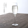 オーシャン サンテ シャンパングラス 210ml 2個組.|s6