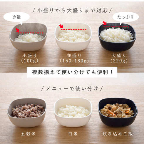 ご飯がう米わん.|s13