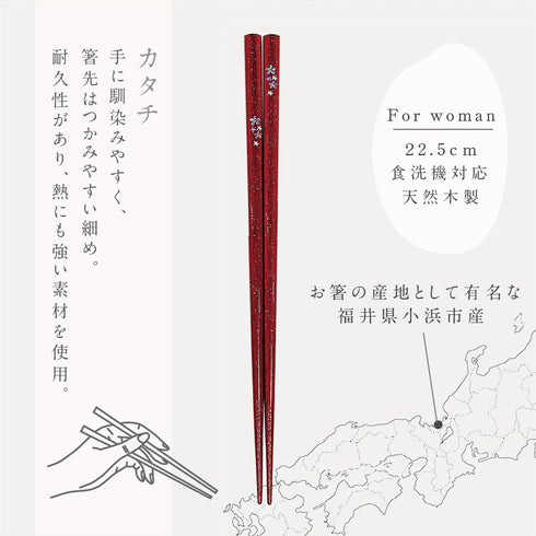 22.5cm 若狭塗箸 舞桜 朱.|s6