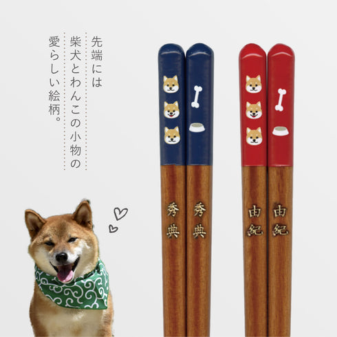 天丸柴犬 箸.|s2