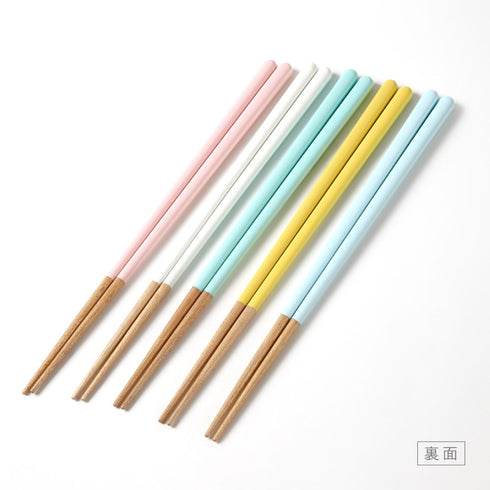 ねこと四季の花.|s8