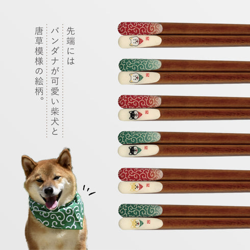 柴犬唐草天削箸.|s2