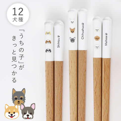 mimi犬箸.|m2