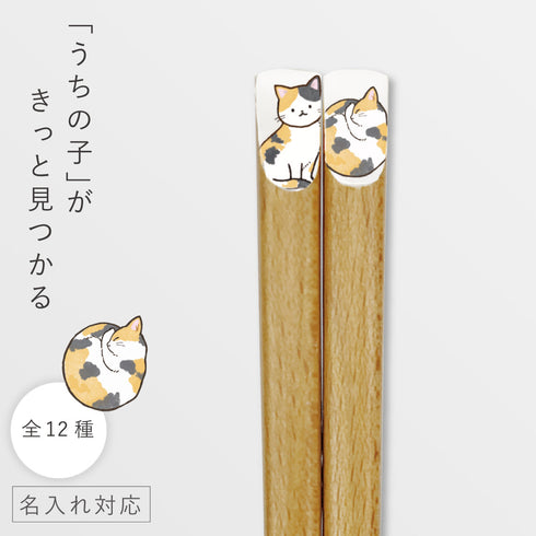 ニャンモニャイト箸