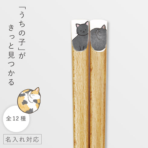 ニャンモニャイト箸