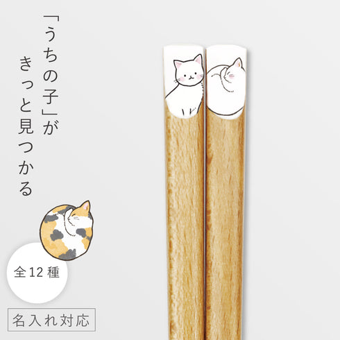 ニャンモニャイト箸