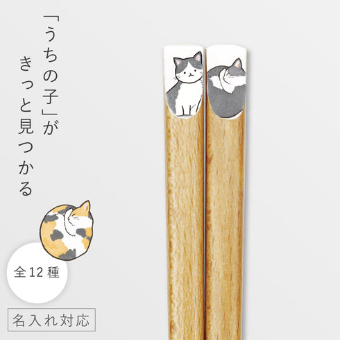 ニャンモニャイト箸