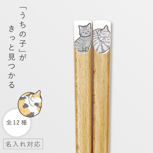 ニャンモニャイト箸