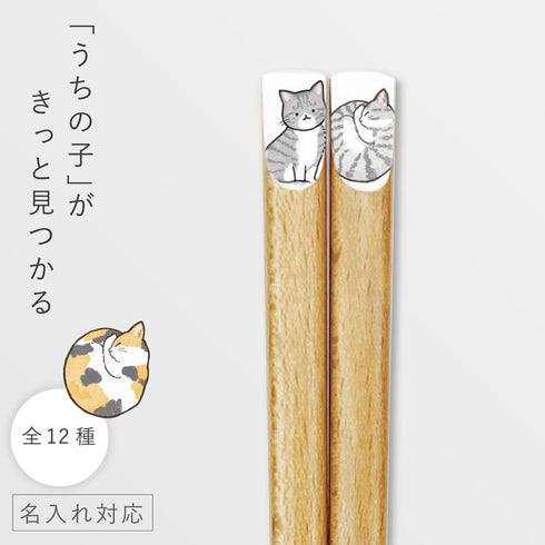 ニャンモニャイト箸