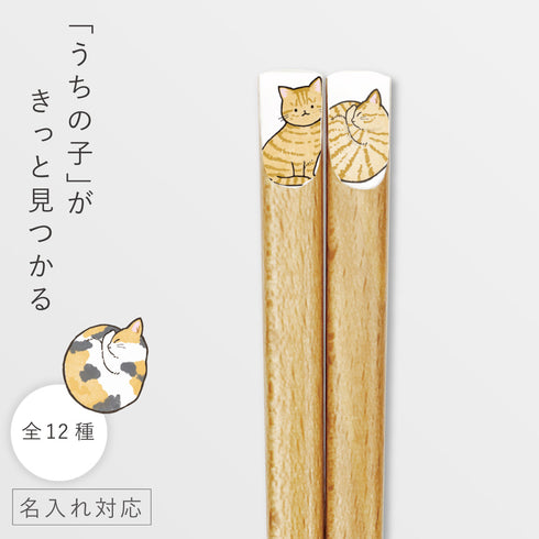 ニャンモニャイト箸