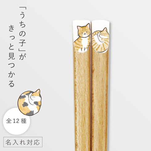 ニャンモニャイト箸