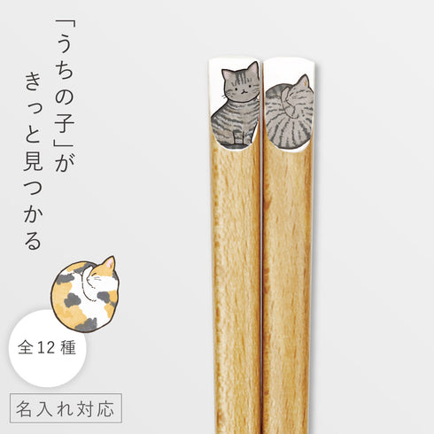 ニャンモニャイト箸