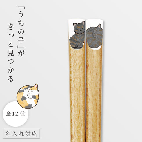 ニャンモニャイト箸