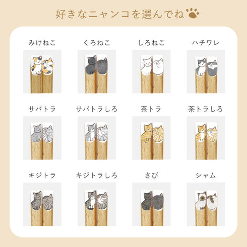 ニャンモニャイト箸.|s3