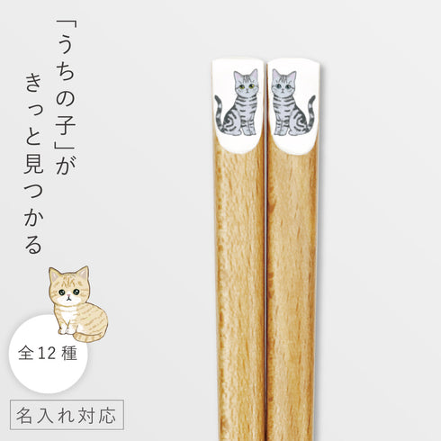 にゃんきゃわ箸