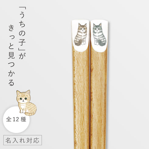 にゃんきゃわ箸