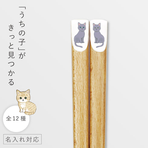 にゃんきゃわ箸