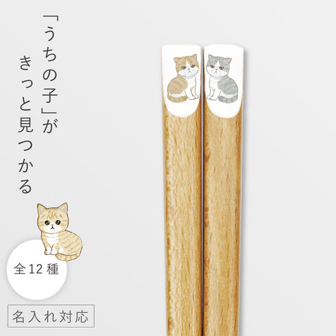 にゃんきゃわ箸