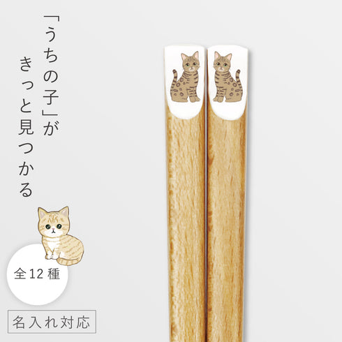 にゃんきゃわ箸