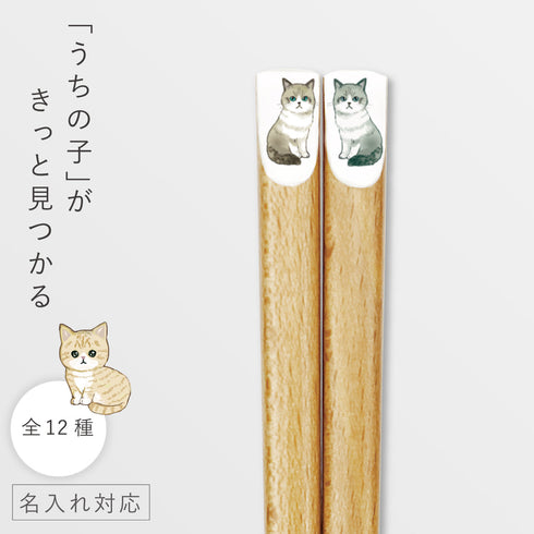 にゃんきゃわ箸