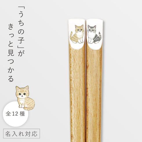 にゃんきゃわ箸