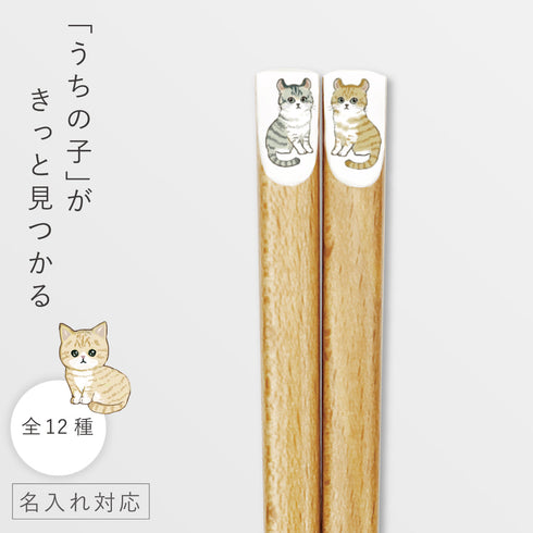 にゃんきゃわ箸