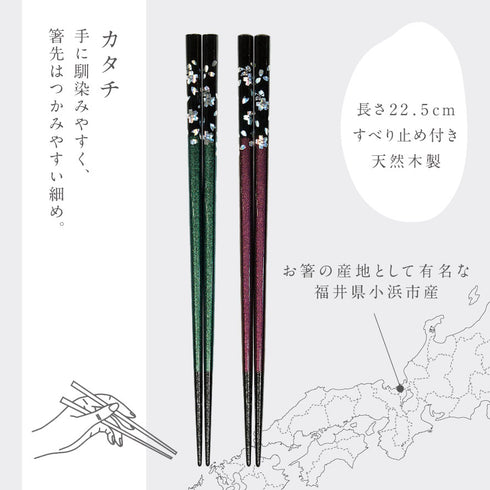 夫婦箸 若狭塗箸 銀桜花 グリーン パープル.|s6