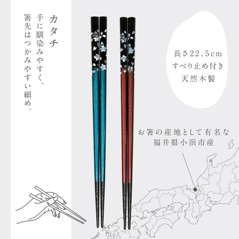夫婦箸 若狭塗箸 銀桜花 ブルー レッド.|s6