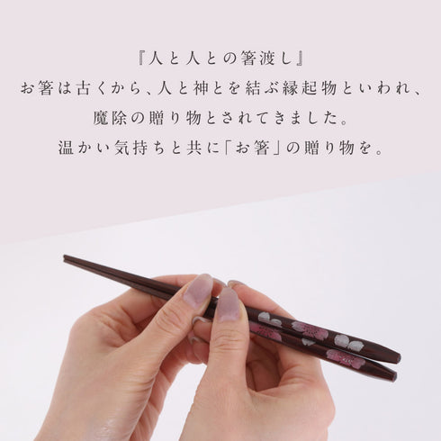 夫婦箸 桜彩.|s10