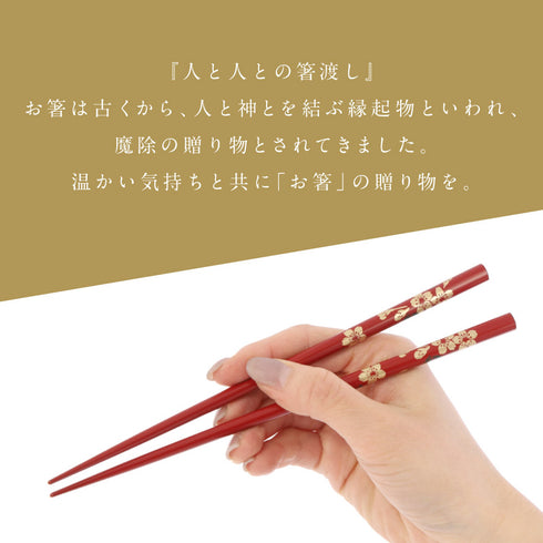 夫婦箸 能登の桜.|s9