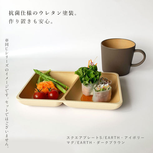 アースカラー 抗菌スクエアプレートS.|s5