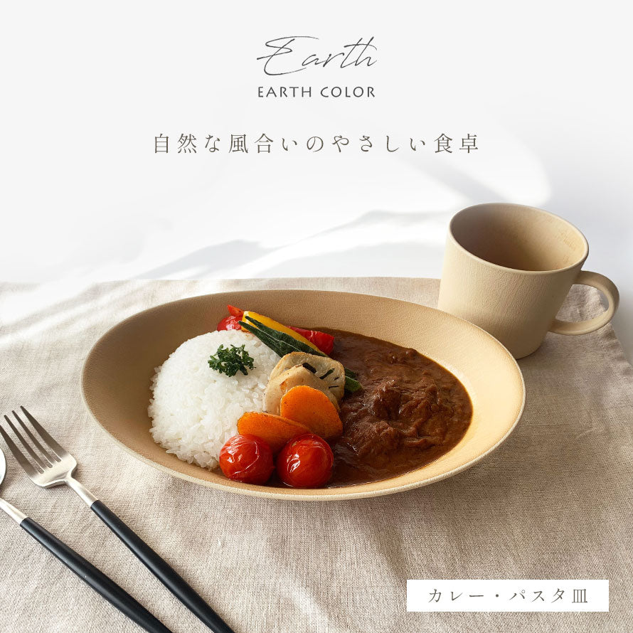 ココチのくらし雑貨店 | アースカラー 抗菌カレーパスタ皿
