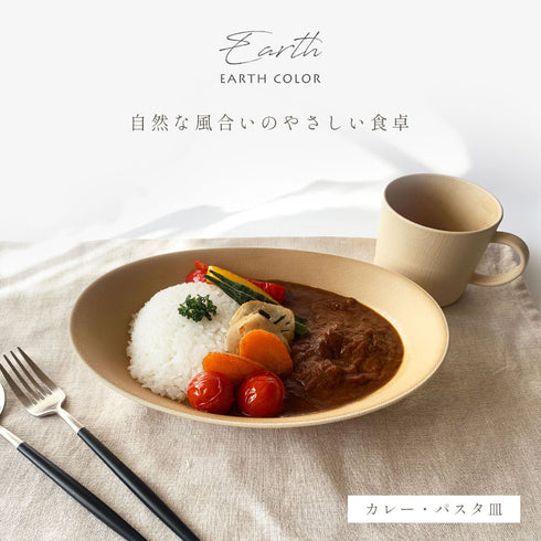 アースカラー 抗菌カレーパスタ皿.|s1