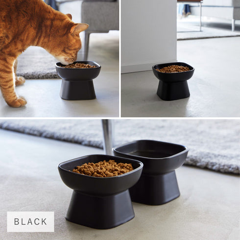 食べやすい高さ陶器ペットフードボウル タワー トール.|s8