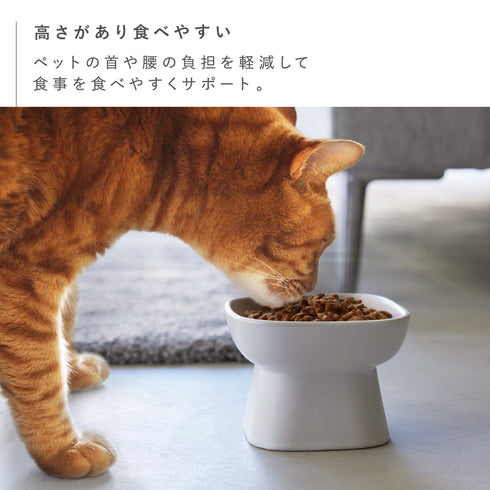 食べやすい高さ陶器ペットフードボウル ヌークス トール.|s3