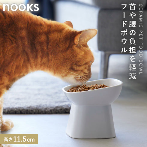 食べやすい高さ陶器ペットフードボウル ヌークス 斜めトール