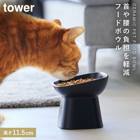 食べやすい高さ陶器ペットフードボウル タワー 斜めトール