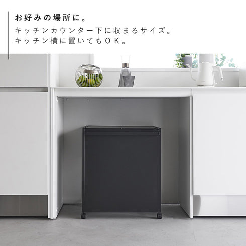 蓋付き目隠し分別ダストワゴン タワー45L 2分別.|s5