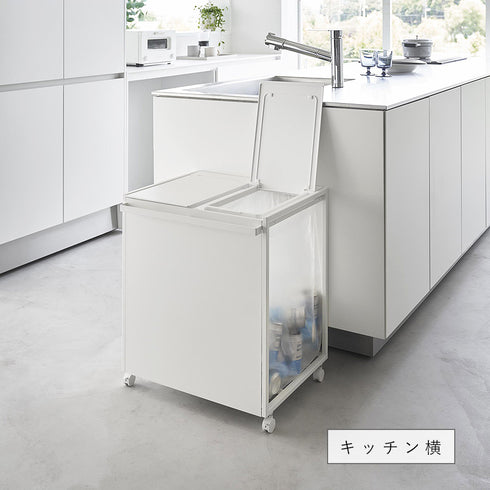 蓋付き目隠し分別ダストワゴン タワー45L 2分別.|s6