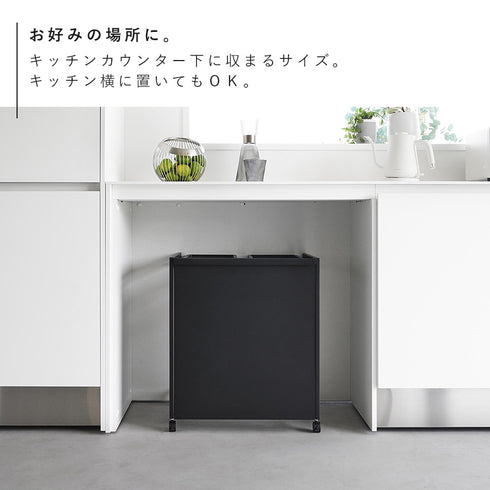 目隠し分別ダストワゴン タワー 45L 2分別.|s5