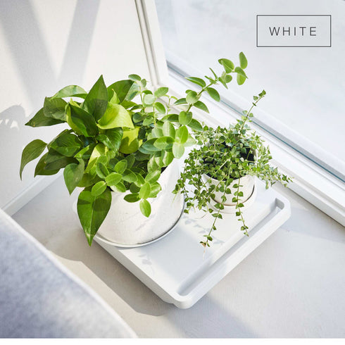 自立する台車 タワー 正方形.|s8