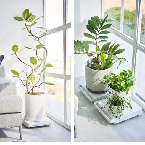 自立する台車 タワー 正方形.|s9