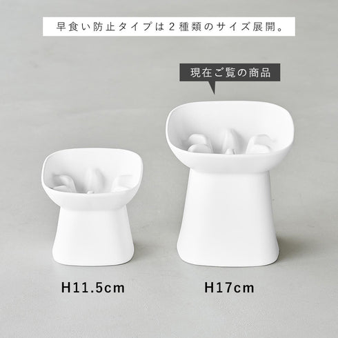 早食い防止陶器ペットフードボウル ヌークス 斜め H17.|s13