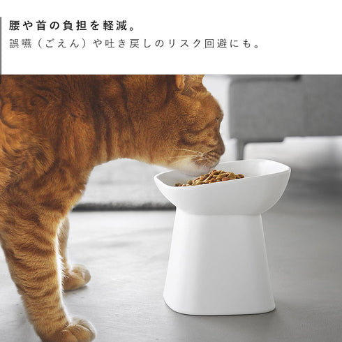食べやすい高さ陶器ペットフードボウル ヌークス 斜め H17.|s4