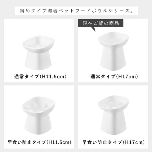 食べやすい高さ陶器ペットフードボウル ヌークス 斜め H17.|s13