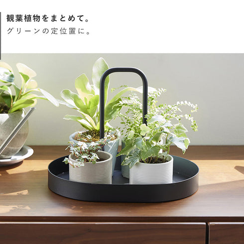 サプリメントトレー タワー ハンドル付き.|s6