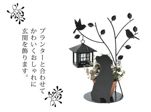 シルエットソーラー.|s3