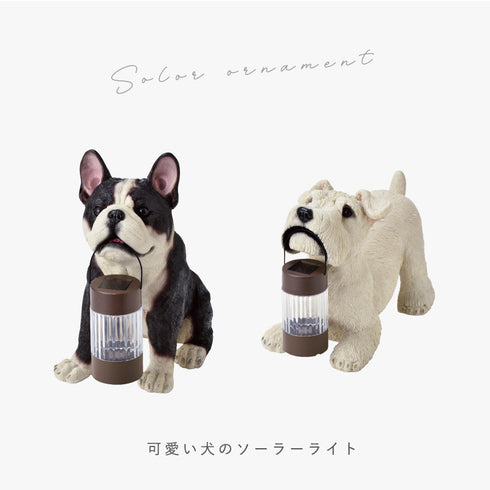 ソーラーオーナメント.|s2