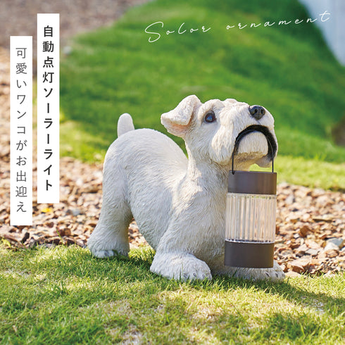 ソーラーオーナメント.|s1