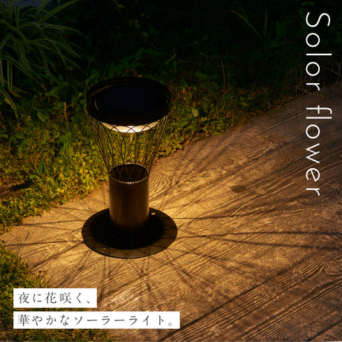 ソーラーフラワー.|s1